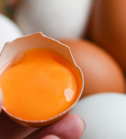 Enriquecimento de ovos com sel�nio: conex�o entre sa�de animal e humana