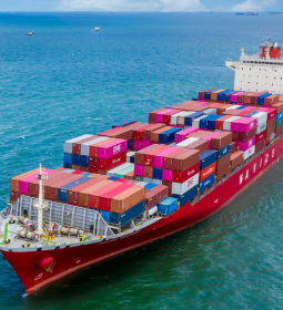 Gen�tica av�cola: exporta��es brasileiras geram mais receita em fevereiro