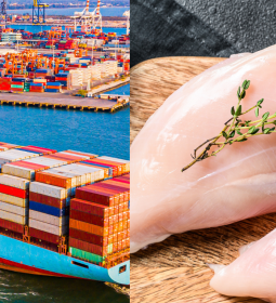 Misso chinesa no Brasil anima exportadores de carne de frango