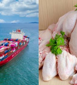 Preos do frango sobem em setembro com retomada das exportaes