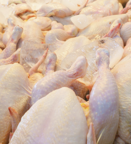 Carne de frango mant�m resultado positivo mesmo com desafios ao longo do ano