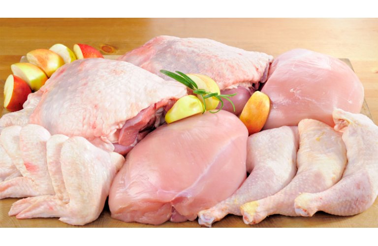 At outubro, 12 UFs geraram, com a carne de frango, receita cambial maior que a dos 12 meses de 2020