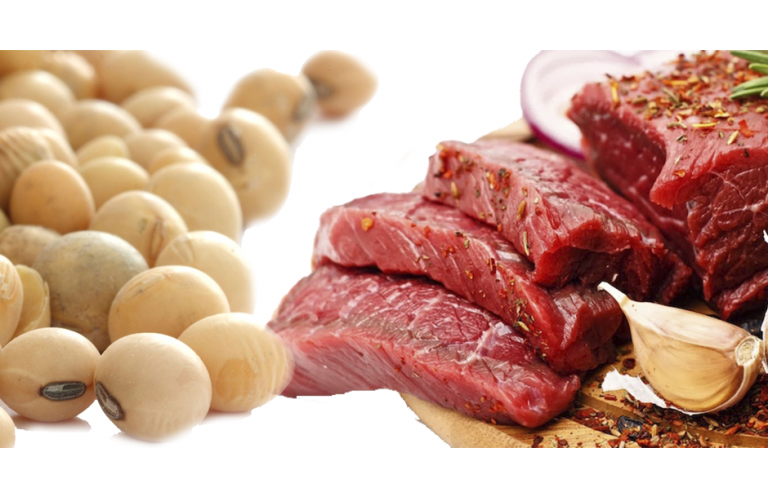 Brasil lidera produtividade agropecuária entre 187 países, aponta estudo do USDA