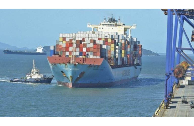 Boi/Cepea: exportao recorde no 1 semestre sustenta preo interno