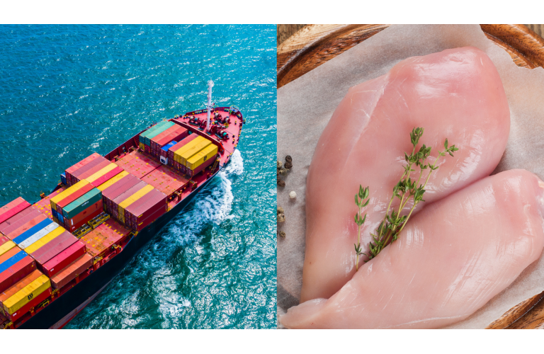 Exportações de carne de frango crescem 3,9% em agosto