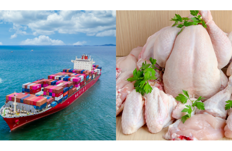 Preos do frango sobem em setembro com retomada das exportaes