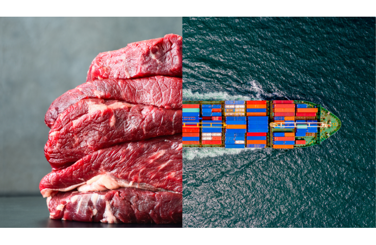 Recorde na exportação de carne bovina brasileira