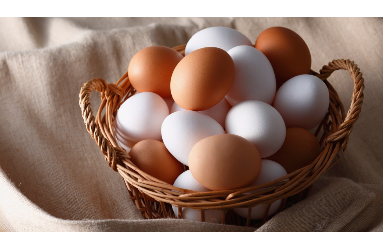 Exporta��es de ovos mant�m alta de 5,8% em novembro